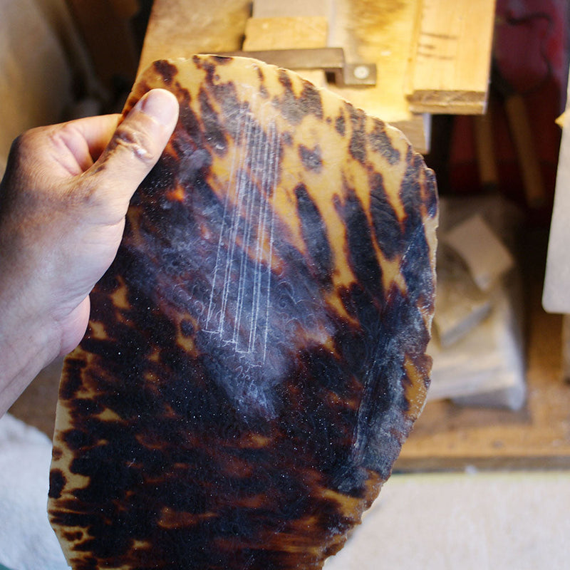 淡く金色に輝く、悠久の美。